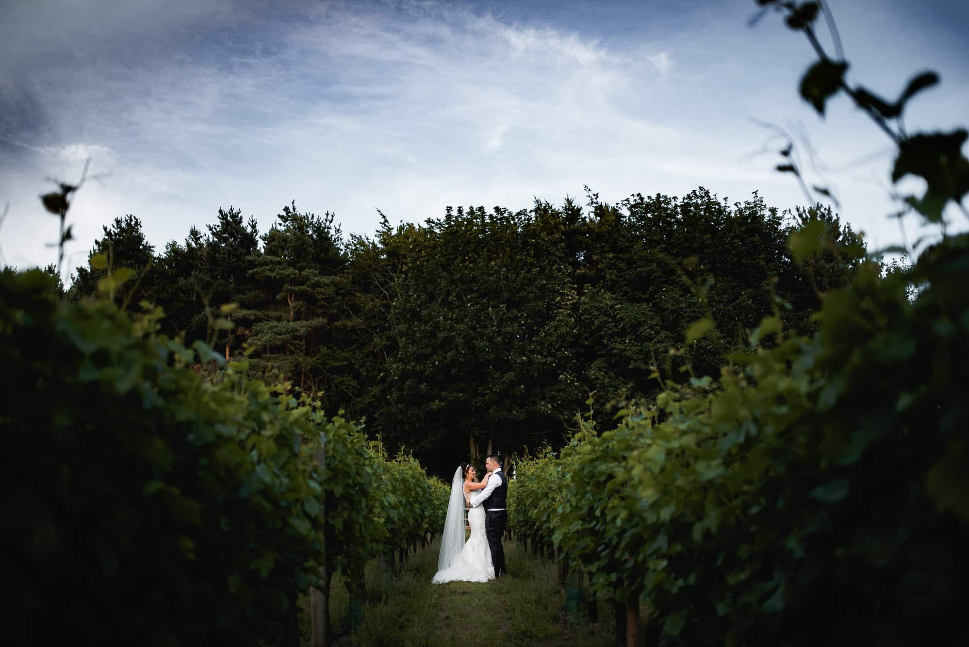 Bride and groom in the winery 