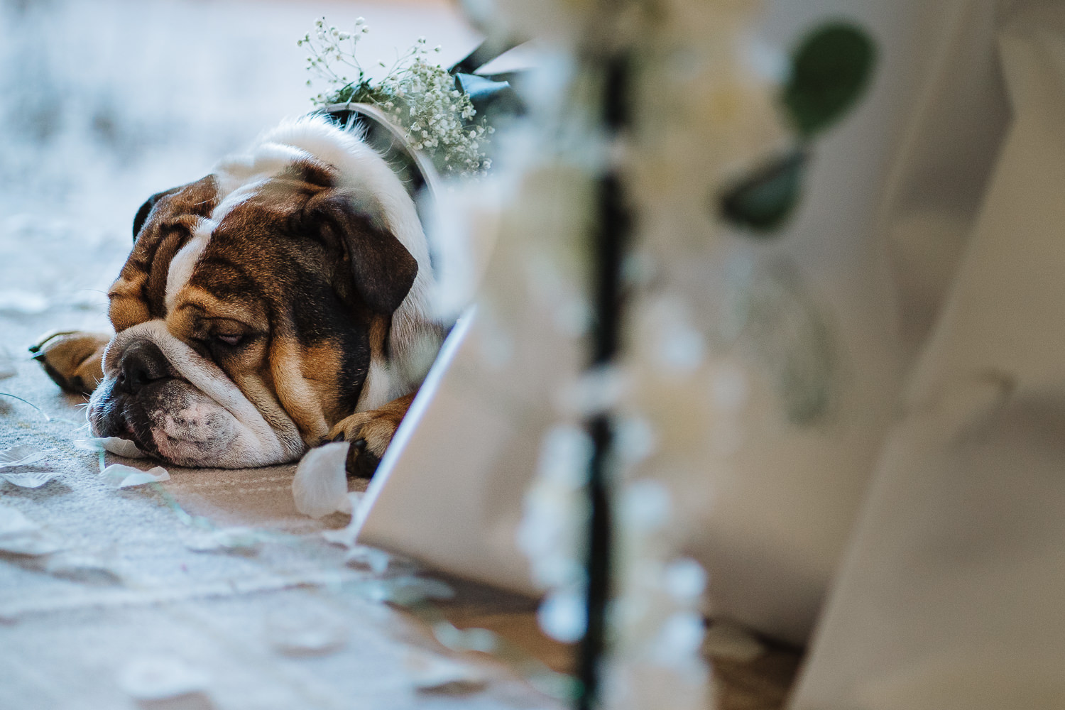 Didsbury House Wedding Photography 010