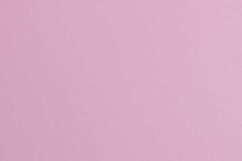 Plain Pink