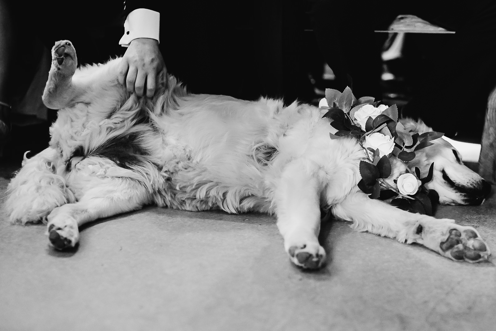 Owen House Wedding Barn 21 Owen House Wedding Barn Emily Joe 20